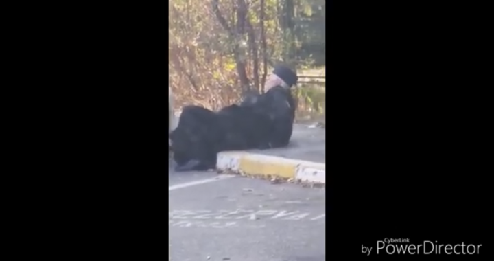 PIJANY ksiądz w Toruniu próbował wejść do samochodu! Wideo.