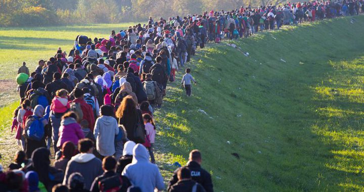 Nielegalni imigranci w Niemczech! „Polska nie rejestruje wystarczająco osób ubiegających się o azyl”…